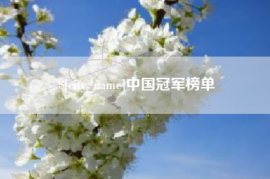 沅江中国冠军榜单