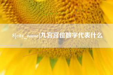 沅江九宫宫位数字代表什么