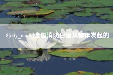 沅江全国消防日是从哪年发起的