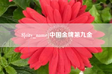 沅江中国金牌第九金