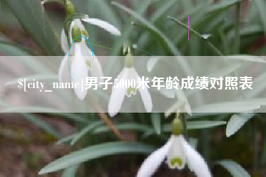 沅江男子5000米年龄成绩对照表