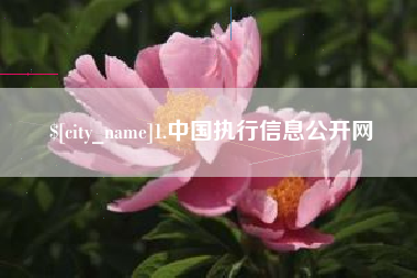 沅江1.中国执行信息公开网