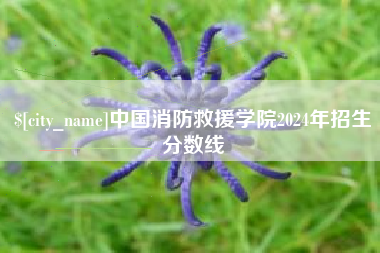 沅江中国消防救援学院2024年招生分数线