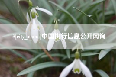 沅江中国执行信息公开网询