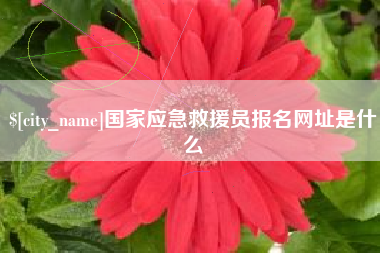 沅江国家应急救援员报名网址是什么