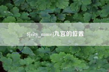 沅江九宫的位置