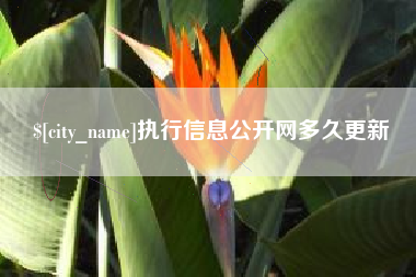 沅江执行信息公开网多久更新