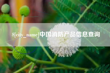 沅江中国消防产品信息查询