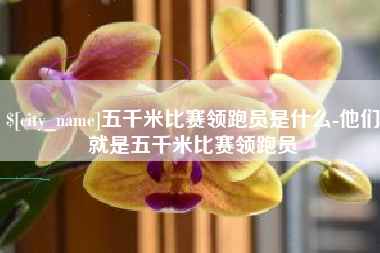 沅江五千米比赛领跑员是什么-他们就是五千米比赛领跑员