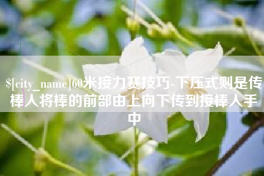 沅江60米接力赛技巧-下压式则是传棒人将棒的前部由上向下传到接棒人手中