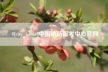 沅江中国消防报考中心官网
