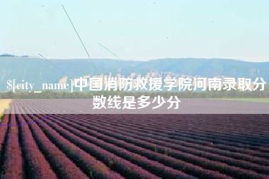 沅江中国消防救援学院河南录取分数线是多少分