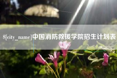 沅江中国消防救援学院招生计划表
