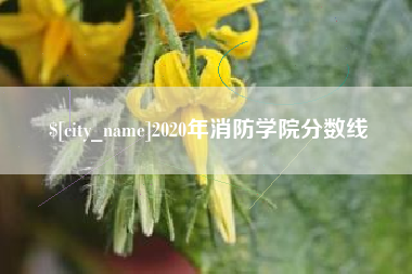 沅江2020年消防学院分数线