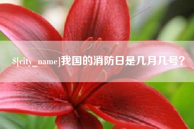 沅江我国的消防日是几月几号？