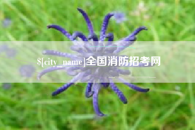 沅江全国消防招考网