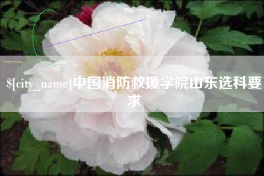 沅江中国消防救援学院山东选科要求