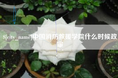 沅江中国消防救援学院什么时候政审