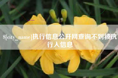 沅江执行信息公开网查询不到被执行人信息