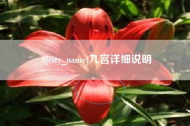 沅江九宫详细说明