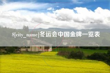 沅江冬运会中国金牌一览表