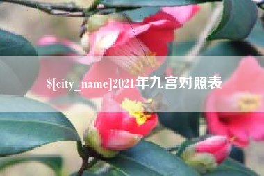 沅江2021年九宫对照表