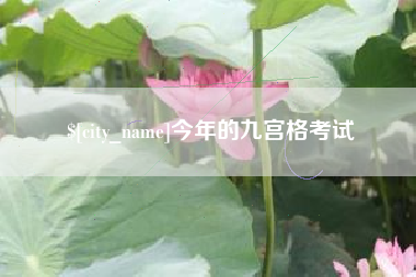 沅江今年的九宫格考试