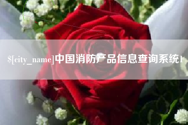 沅江中国消防产品信息查询系统1
