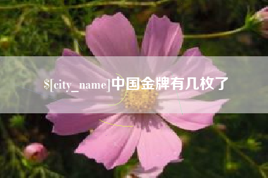 沅江中国金牌有几枚了