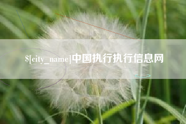 沅江中国执行执行信息网