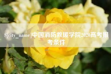 沅江中国消防救援学院2020高考报考条件