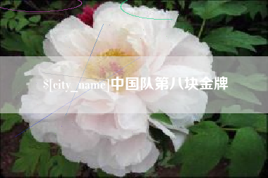沅江中国队第八块金牌