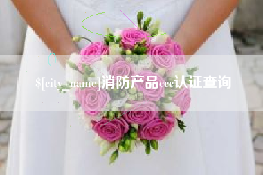 沅江消防产品ccc认证查询