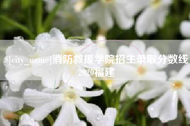 沅江消防救援学院招生录取分数线2020福建