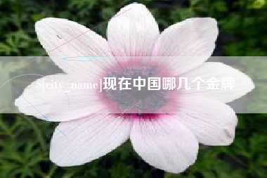 沅江现在中国哪几个金牌