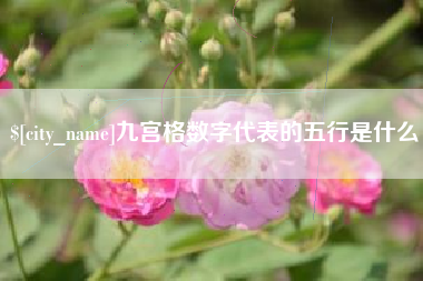 沅江九宫格数字代表的五行是什么