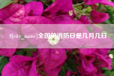 沅江全国的消防日是几月几日