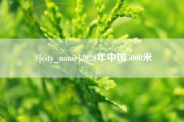 沅江2020年中国5000米
