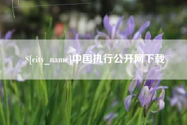 沅江中国执行公开网下载