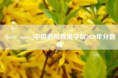 沅江中国消防救援学院2020年分数线