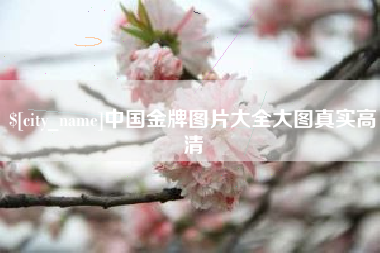 沅江中国金牌图片大全大图真实高清