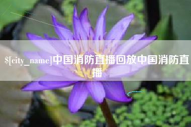 沅江中国消防直播回放中国消防直播