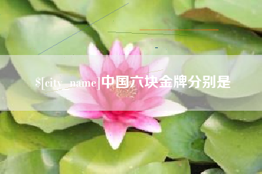 沅江中国六块金牌分别是