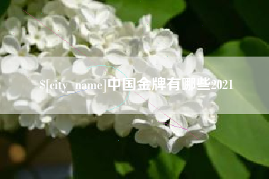 沅江中国金牌有哪些2021