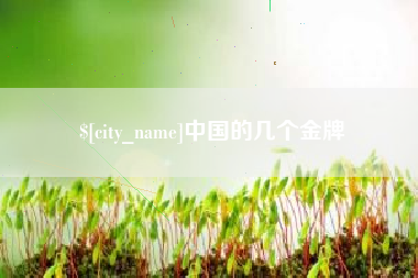 沅江中国的几个金牌