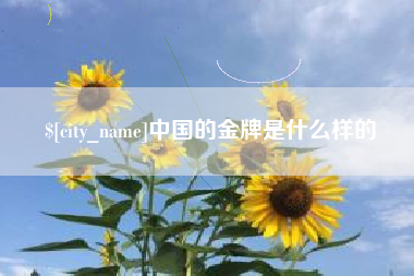 沅江中国的金牌是什么样的
