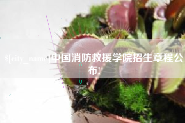 沅江中国消防救援学院招生章程公布!