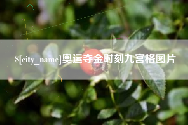 沅江奥运夺金时刻九宫格图片