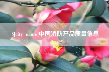 沅江中国消防产品质量信息