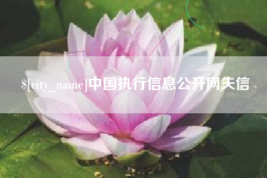 沅江中国执行信息公开网失信
